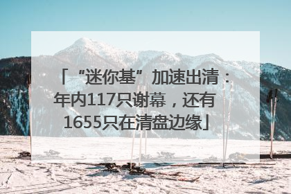 “迷你基”加速出清：年内117只谢幕，还有1655只在清盘边缘