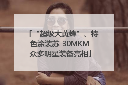 “超级大黄蜂”、特色涂装苏-30MKM 众多明星装备亮相