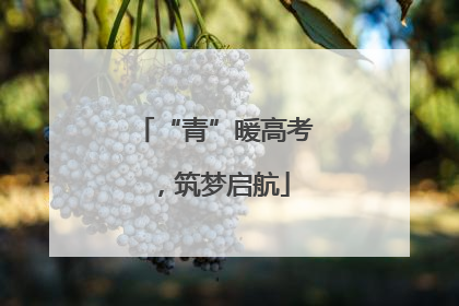 “青”暖高考，筑梦启航