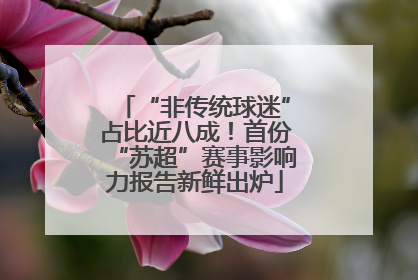 “非传统球迷”占比近八成！首份“苏超”赛事影响力报告新鲜出炉