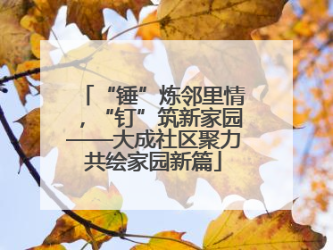 “锤”炼邻里情，“钉”筑新家园——大成社区聚力共绘家园新篇