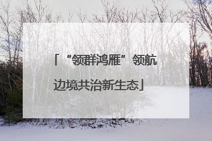 “领群鸿雁”领航边境共治新生态
