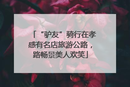 “驴友”骑行在孝感有名店旅游公路，路畅景美人欢笑