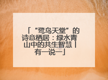 “鹭鸟天堂”的诗意栖居：绿水青山中的共生智慧丨有一说一