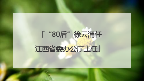 “80后”徐云涌任江西省委办公厅主任