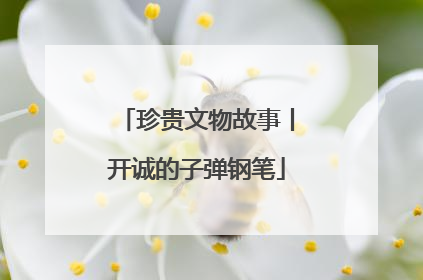 珍贵文物故事丨开诚的子弹钢笔