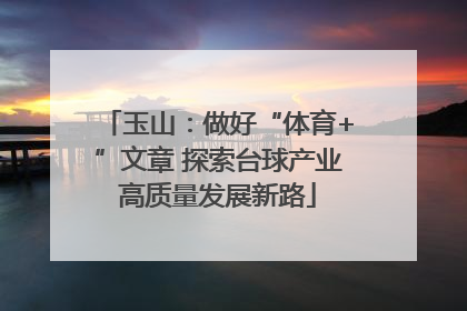玉山：做好“体育+”文章 探索台球产业高质量发展新路