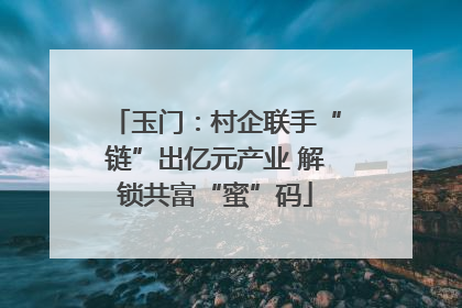 玉门：村企联手“链”出亿元产业 解锁共富“蜜”码