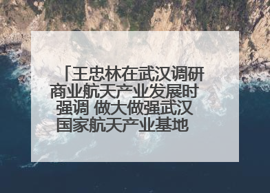 王忠林在武汉调研商业航天产业发展时强调 做大做强武汉国家航天产业基地 打造具有全国影响力的“中国星谷”