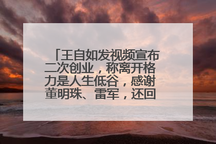 王自如发视频宣布二次创业，称离开格力是人生低谷，感谢董明珠、雷军，还回应了“工资条”：清楚自己要什么……