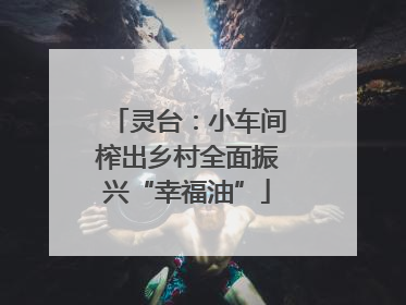 灵台：小车间榨出乡村全面振兴“幸福油”