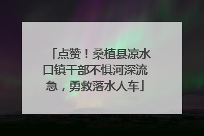 点赞！桑植县凉水口镇干部不惧河深流急，勇救落水人车