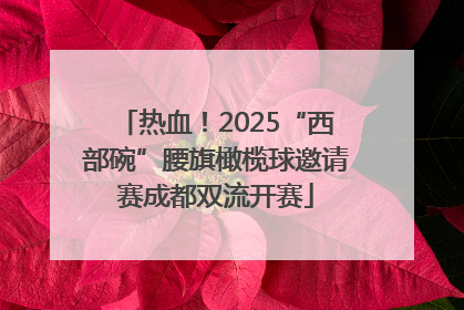 热血！2025“西部碗”腰旗橄榄球邀请赛成都双流开赛