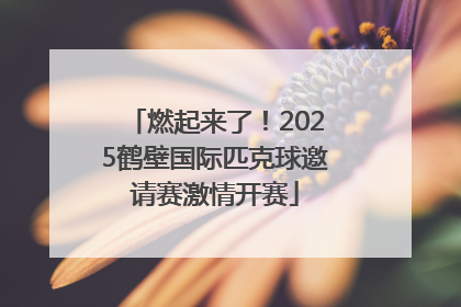 燃起来了！2025鹤壁国际匹克球邀请赛激情开赛