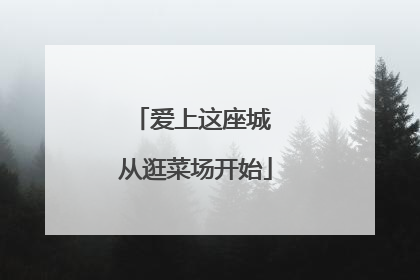 爱上这座城 从逛菜场开始