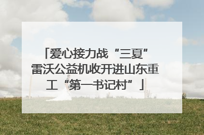 爱心接力战“三夏” 雷沃公益机收开进山东重工“第一书记村”