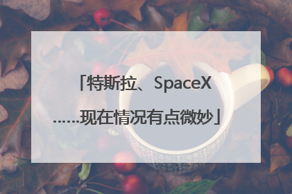 特斯拉、SpaceX……现在情况有点微妙
