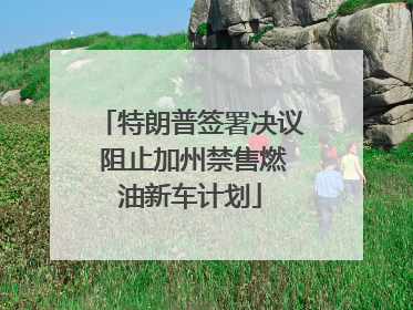 特朗普签署决议 阻止加州禁售燃油新车计划