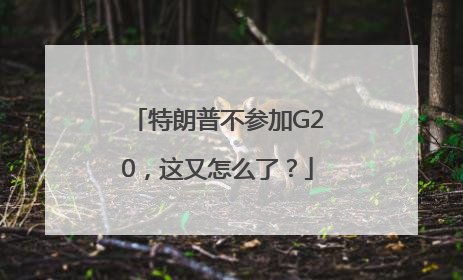 特朗普不参加G20，这又怎么了？