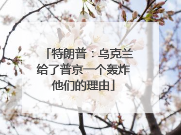 特朗普：乌克兰给了普京一个轰炸他们的理由