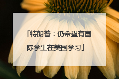 特朗普：仍希望有国际学生在美国学习