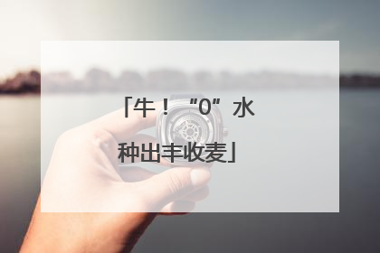 牛！“0”水种出丰收麦