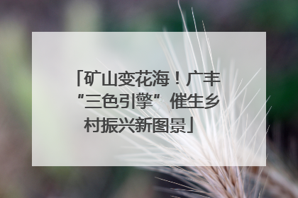 矿山变花海！广丰“三色引擎”催生乡村振兴新图景