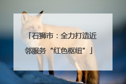 石狮市：全力打造近邻服务“红色枢纽”