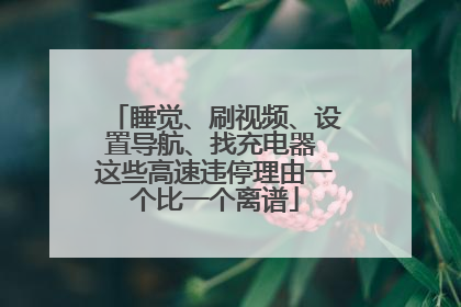 睡觉、刷视频、设置导航、找充电器 这些高速违停理由一个比一个离谱