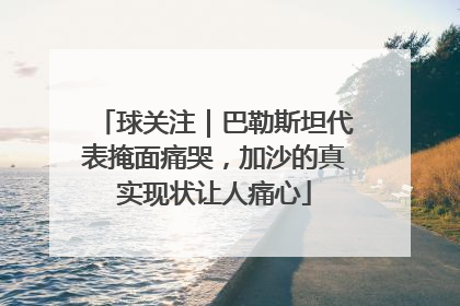 球关注｜巴勒斯坦代表掩面痛哭，加沙的真实现状让人痛心