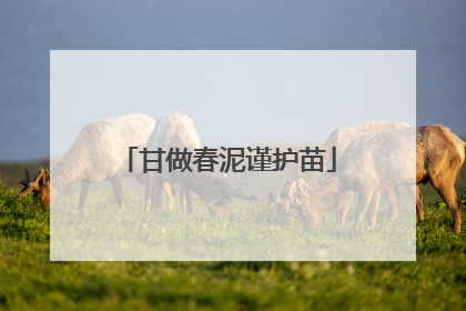 甘做春泥谨护苗