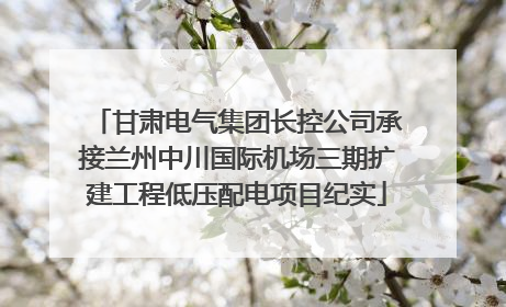 甘肃电气集团长控公司承接兰州中川国际机场三期扩建工程低压配电项目纪实