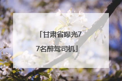 甘肃省曝光77名醉驾司机