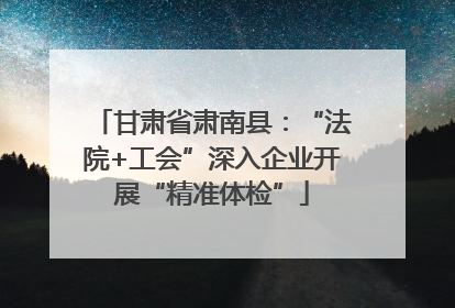 甘肃省肃南县：“法院+工会”深入企业开展“精准体检”