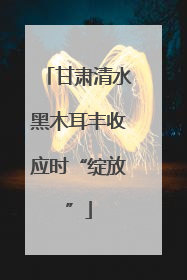 甘肃清水黑木耳丰收应时“绽放”
