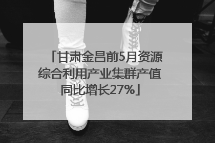 甘肃金昌前5月资源综合利用产业集群产值同比增长27%