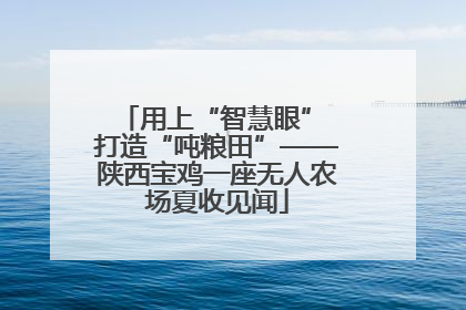 用上“智慧眼” 打造“吨粮田”——陕西宝鸡一座无人农场夏收见闻