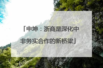 申坤：浙商是深化中非务实合作的新桥梁