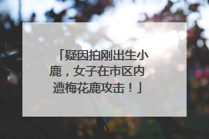 疑因拍刚出生小鹿，女子在市区内遭梅花鹿攻击！