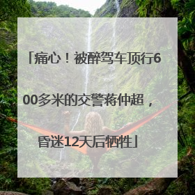 痛心！被醉驾车顶行600多米的交警蒋仲超，昏迷12天后牺牲