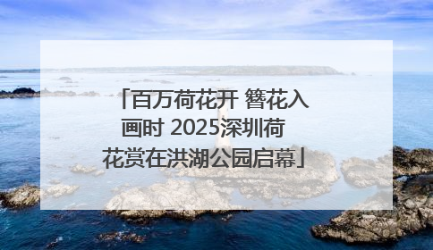 百万荷花开 簪花入画时 2025深圳荷花赏在洪湖公园启幕