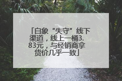 白象“失守”线下渠道，线上一桶3.83元，与经销商拿货价几乎一致