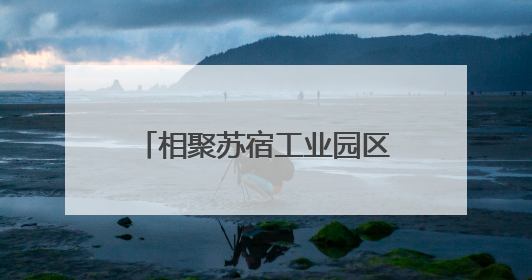 相聚苏宿工业园区！苏州、宿迁青年企业家共谋发展