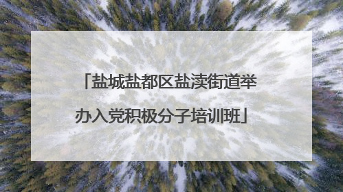盐城盐都区盐渎街道举办入党积极分子培训班