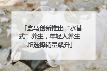 盒马创新推出“水替式”养生，年轻人养生新选择销量飙升
