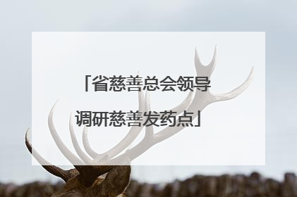 省慈善总会领导调研慈善发药点