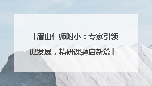 眉山仁师附小：专家引领促发展，精研课题启新篇