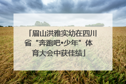 眉山洪雅实幼在四川省“奔跑吧•少年”体育大会中获佳绩