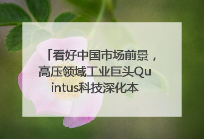 看好中国市场前景，高压领域工业巨头Quintus科技深化本土策略，构建全方位服务亚太区总部