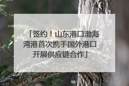 签约！山东港口渤海湾港首次携手国外港口开展供应链合作
